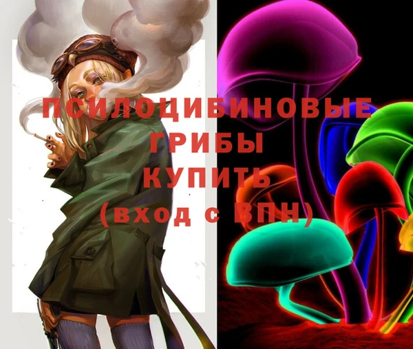 прущая мука Иннополис