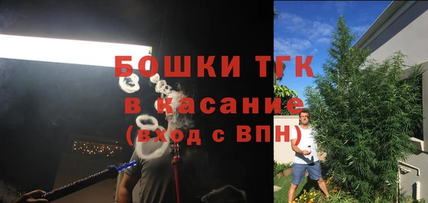 ГАЛЛЮЦИНОГЕННЫЕ ГРИБЫ Карталы
