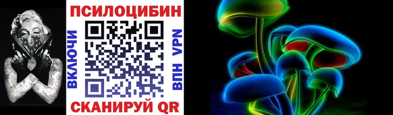 Галлюциногенные грибы Cubensis  Соль-Илецк 