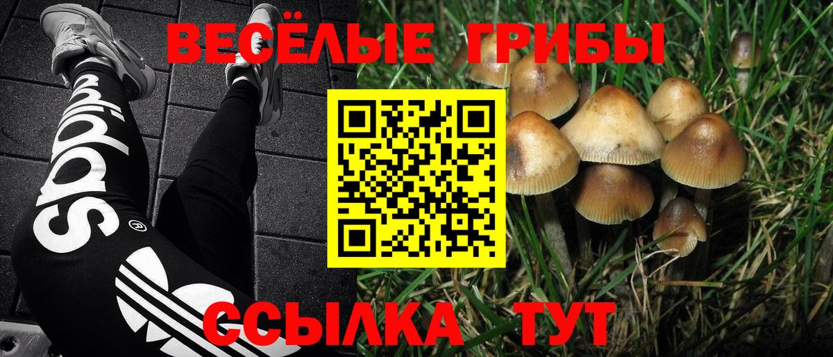Галлюциногенные грибы GOLDEN TEACHER Соль-Илецк