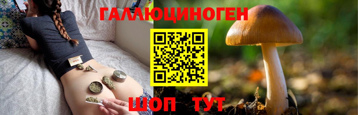 Псилоцибиновые грибы MAGIC MUSHROOMS  Вход с VPN  Соль-Илецк 